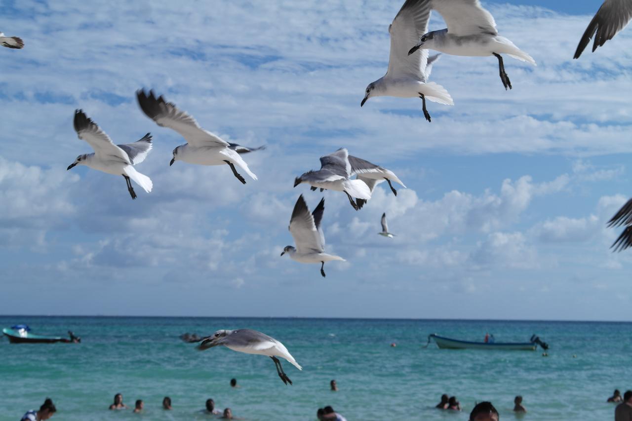 Casa Tucan Hotel Playa del Carmen Buitenkant foto